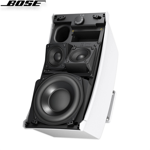 Loa Bose FreeSpace DS 100SE 9